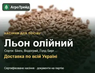 Зображення для оголошення Продам насіння олійного льону