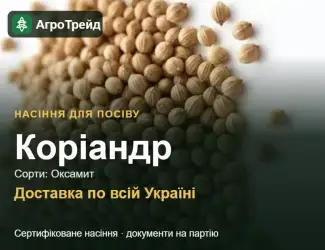 Зображення для оголошення Продам насіння коріандру