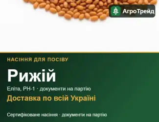 Зображення для оголошення Продам насіння рижію