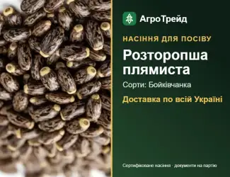 Зображення для оголошення Продам насіння розторопші плямистої