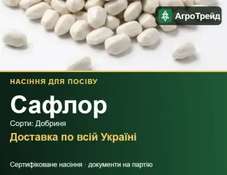 Зображення для оголошення Продам насіння сафлору