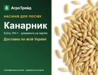 Зображення для оголошення Продам насіння канарника