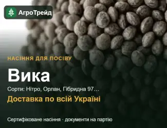 Зображення для оголошення Продам насіння вики