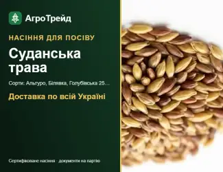Зображення для оголошення Продам насіння суданської трави