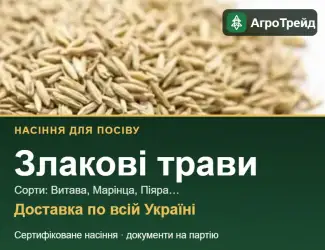 Зображення для оголошення Продам насіння злакових трав