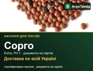 Зображення для оголошення Продам насіння сорго