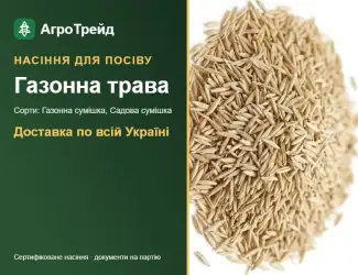 Зображення для оголошення Продам насіння газонної трави