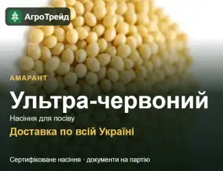 Зображення для оголошення Ультра-червоний — амарант, насіння