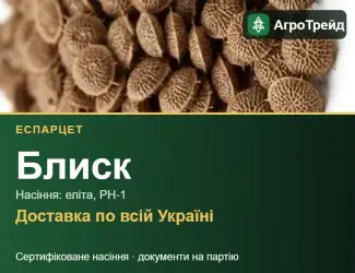 Зображення для оголошення Блиск — еспарцет, насіння