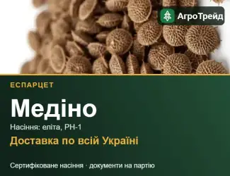 Зображення для оголошення Купити насіння еспарцету Медіно