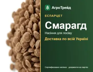 Зображення для оголошення Продам насіння еспарцету Смарагд