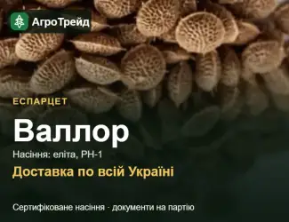 Зображення для оголошення Продам насіння еспарцету Валлор
