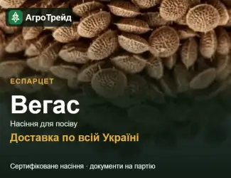 Зображення для оголошення Еспарцет Вегас