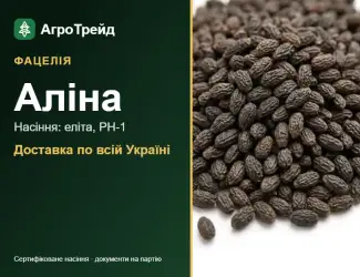 Зображення для оголошення Фацелія Аліна