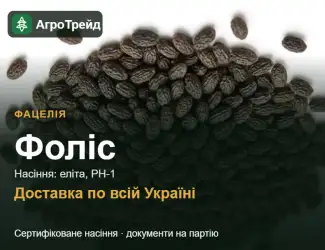 Зображення для оголошення Фоліс — фацелія, насіння