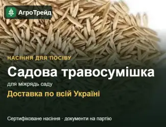 Зображення для оголошення Продам: садова травосумішка для міжрядь саду