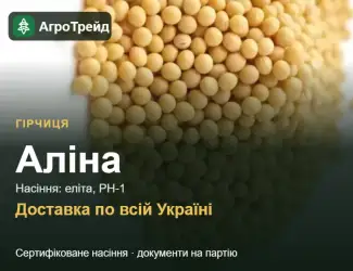 Зображення для оголошення Продам насіння гірчиці Аліна