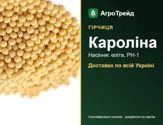Зображення для оголошення Гірчиця Кароліна — насіння