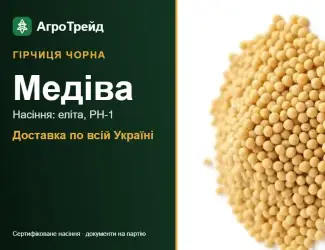 Зображення для оголошення Продам насіння гірчиці чорної Медіва