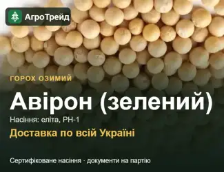 Зображення для оголошення Авірон (зелений) — горох озимий, насіння