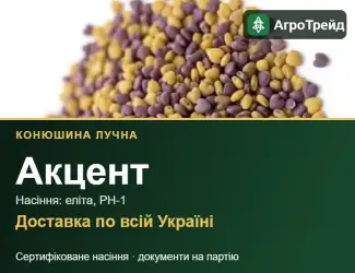 Зображення для оголошення Купити насіння конюшини лучної Акцент