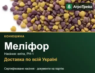 Зображення для оголошення Конюшина Меліфор