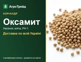 Зображення для оголошення Оксамит — коріандр, насіння