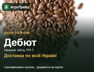 Зображення для оголошення Льон олійний Дебют