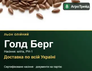 Зображення для оголошення Купити насіння олійного льону Голд Берг