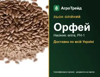 Зображення для оголошення Орфей — льон олійний, насіння