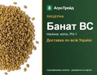 Зображення для оголошення Люцерна Банат ВС
