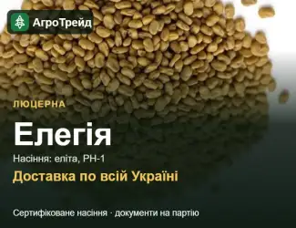 Зображення для оголошення Люцерна Елегія