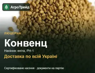 Зображення для оголошення Люцерна Конвенц