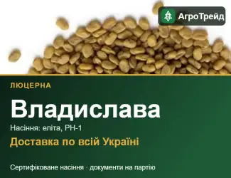Зображення для оголошення Люцерна Владислава