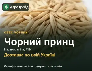 Зображення для оголошення Продам насіння чорного вівса Чорний принц