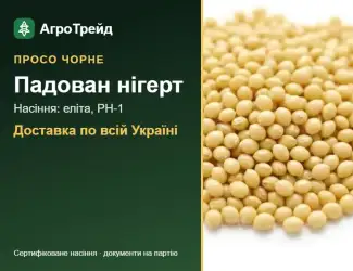 Зображення для оголошення Продам насіння чорного проса Падован нігерт