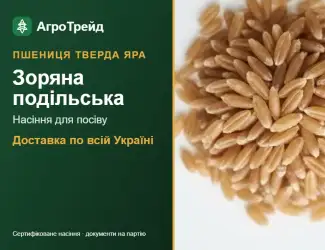 Зображення для оголошення Насіння твердої ярої пшениці Зоряна подільська
