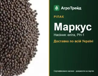 Зображення для оголошення Маркус — ріпак, насіння