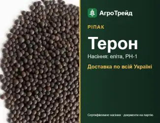 Зображення для оголошення Ріпак Терон — насіння