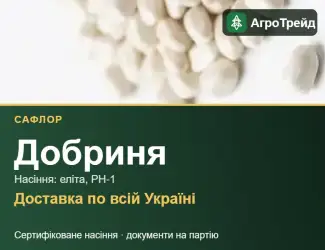 Зображення для оголошення Купити насіння сафлору Добриня