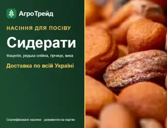 Зображення для оголошення Продам сидерати: фацелія, редька, гірчиця