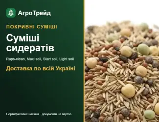 Зображення для оголошення Покривні суміші сидератів — насіння