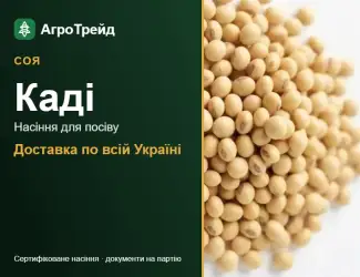 Зображення для оголошення Каді — соя, насіння