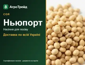 Зображення для оголошення Насіння сої Ньюпорт