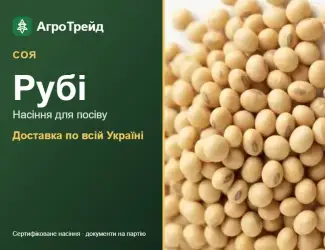 Зображення для оголошення Рубі — соя, насіння