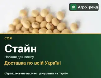 Зображення для оголошення Продам насіння сої Стайн