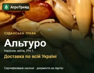 Зображення для оголошення Продам насіння суданської трави Альтуро