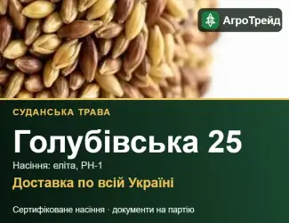 Зображення для оголошення Насіння суданської трави Голубівська 25