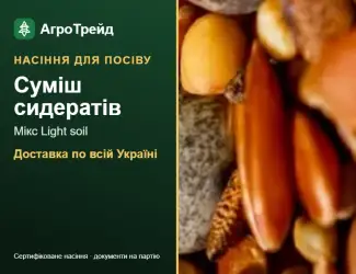 Зображення для оголошення Суміш сидератів Мікс Light soil — насіння