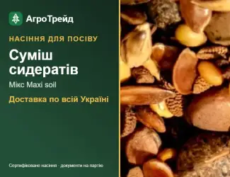Зображення для оголошення Продам: суміш сидератів Мікс Maxi soil